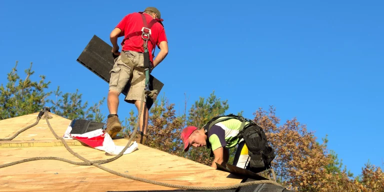 Fall protection roof